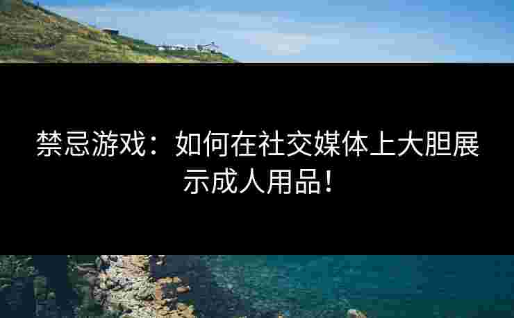 禁忌游戏：如何在社交媒体上大胆展示成人用品！
