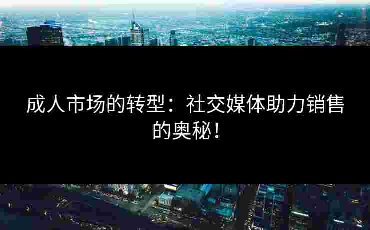 成人市场的转型：社交媒体助力销售的奥秘！