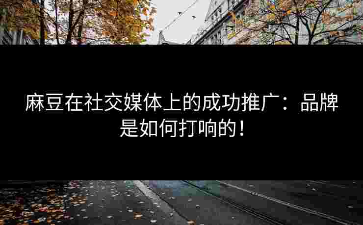 麻豆在社交媒体上的成功推广：品牌是如何打响的！
